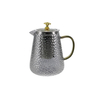 Dot-relief Grey Glass Kettle YD-KEL-016