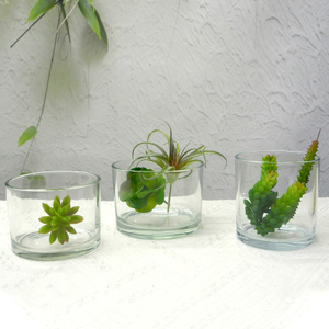 Transparent Glass Flower Pot YD-FPWP-008