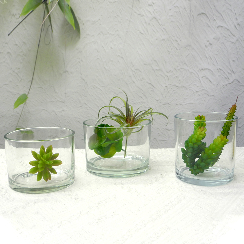 Transparent Glass Flower Pot YD-FPWP-008