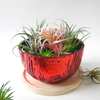 Red Round Flower Pot YD-FPWP-016