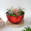 Red Round Flower Pot YD-FPWP-016