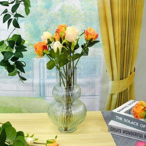 Gourd-shaped Transparent Glass Vases YD-CGV-003