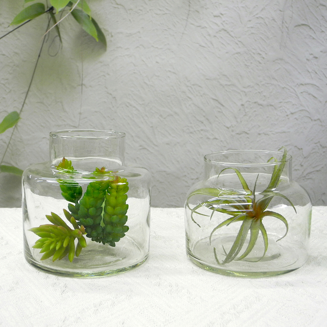 Micro Landscape Transparent Glass Flower Pot YD-FPWP-007