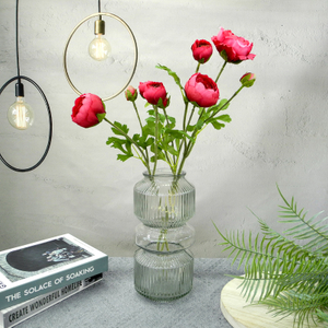Water Bottle Shaped Transparent Glass Vases YD-CGV-006
