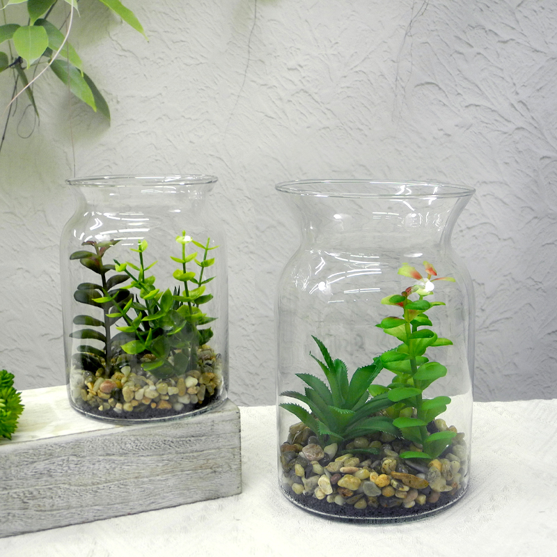 Transparent Micro Landscape Glass Vases YD-FPWP-003