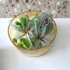 Yellow Glass Flower Pot YD-FPWP-015