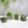 Transparent Glass Flower Pot YD-FPWP-002