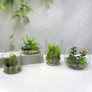 Transparent Glass Flower Pot YD-FPWP-002