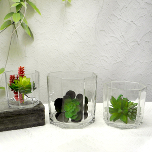 Polygon Transparent Flower Pot YD-FPWP-010
