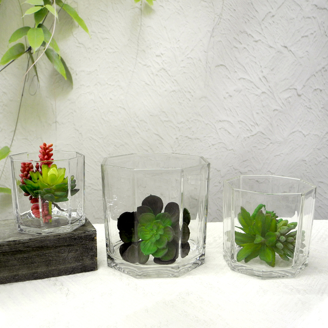Polygon Transparent Flower Pot YD-FPWP-010