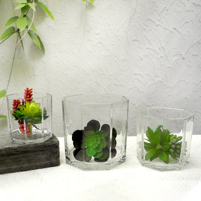 Polygon Transparent Flower Pot YD-FPWP-010