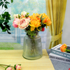 Transparent Glass Vases YD-CGV-009