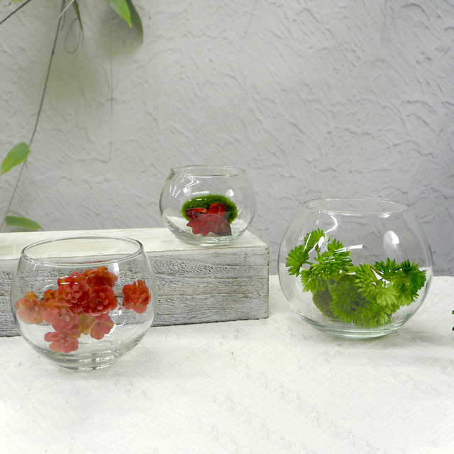 Round Transparent Flower Pot YD-FPWP-012
