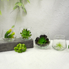 Transparent Flower Pot YD-FPWP-009