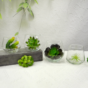 Transparent Flower Pot YD-FPWP-009