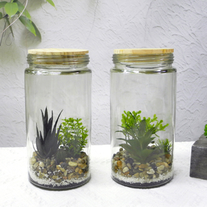 Transparent Cylinder Flower Pot YD-FPWP-014
