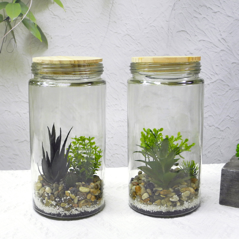 Transparent Cylinder Flower Pot YD-FPWP-014