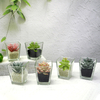 Cup-shaped Flower Pot YD-FPWP-004