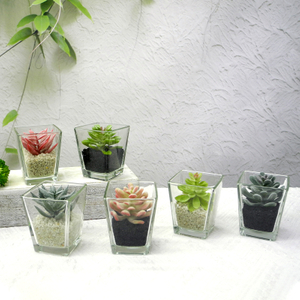 Cup-shaped Flower Pot YD-FPWP-004