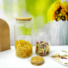 High Capacity Glass Storage Jar YD-STJ-024