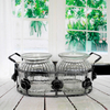 Stripe Transparent Glass Bottle YD-BOT-001