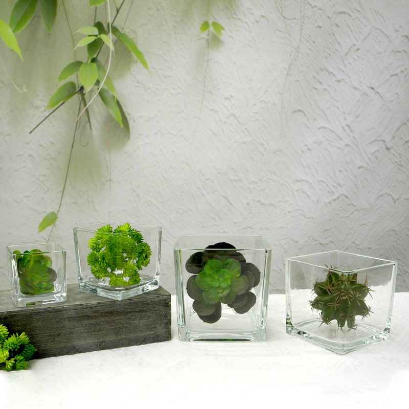 Square Transparent Flower Pot YD-FPWP-011