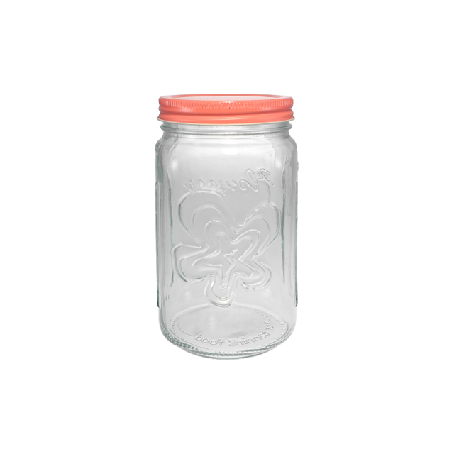 Pink Stainless Steel Lid with High Borosilicate Glass Storage Jar YD-STJ-164