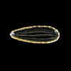 Melon Seed-shaped Gold-painted Hot Bending Plate YD-HBP-007