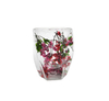 Double-layer High-boron-silica Special-shaped Flower-shaped Glass Cup-YD-CPU-116