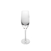 Naked Champagne Glass YD-PTC-051